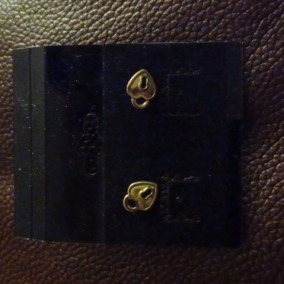 Jewelry - ❤️3/$10❤️ NWOT Pad Lock Earrings